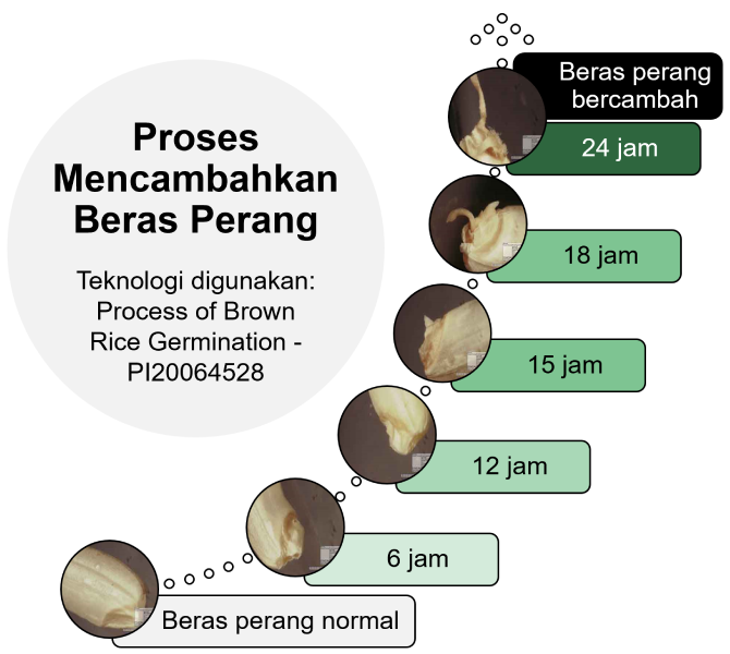 orygold_origold_berasperang_proses_04